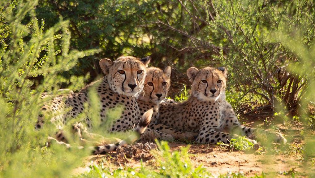 5530b7f8-36ad-4857-bb5e-eaf1d2a25cb7