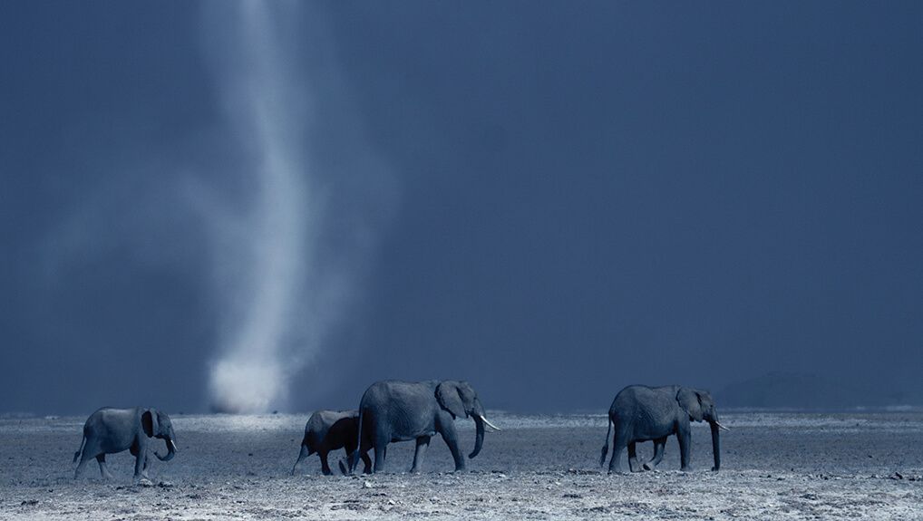 Africa - S1