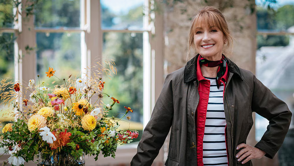 Harry Wild - Sezon 4