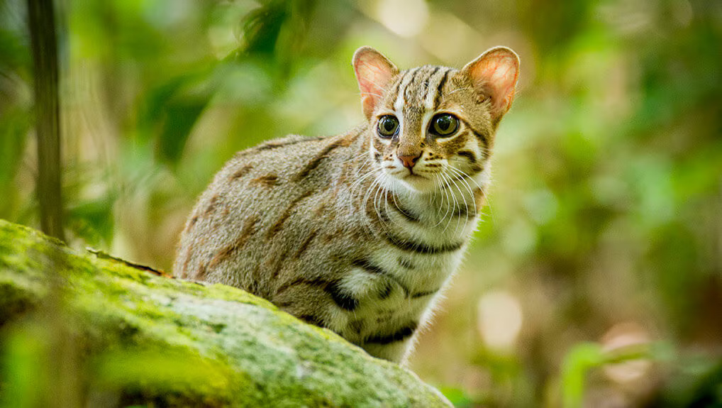 ee4357c4-b730-4508-a72f-f5bfd13eadea