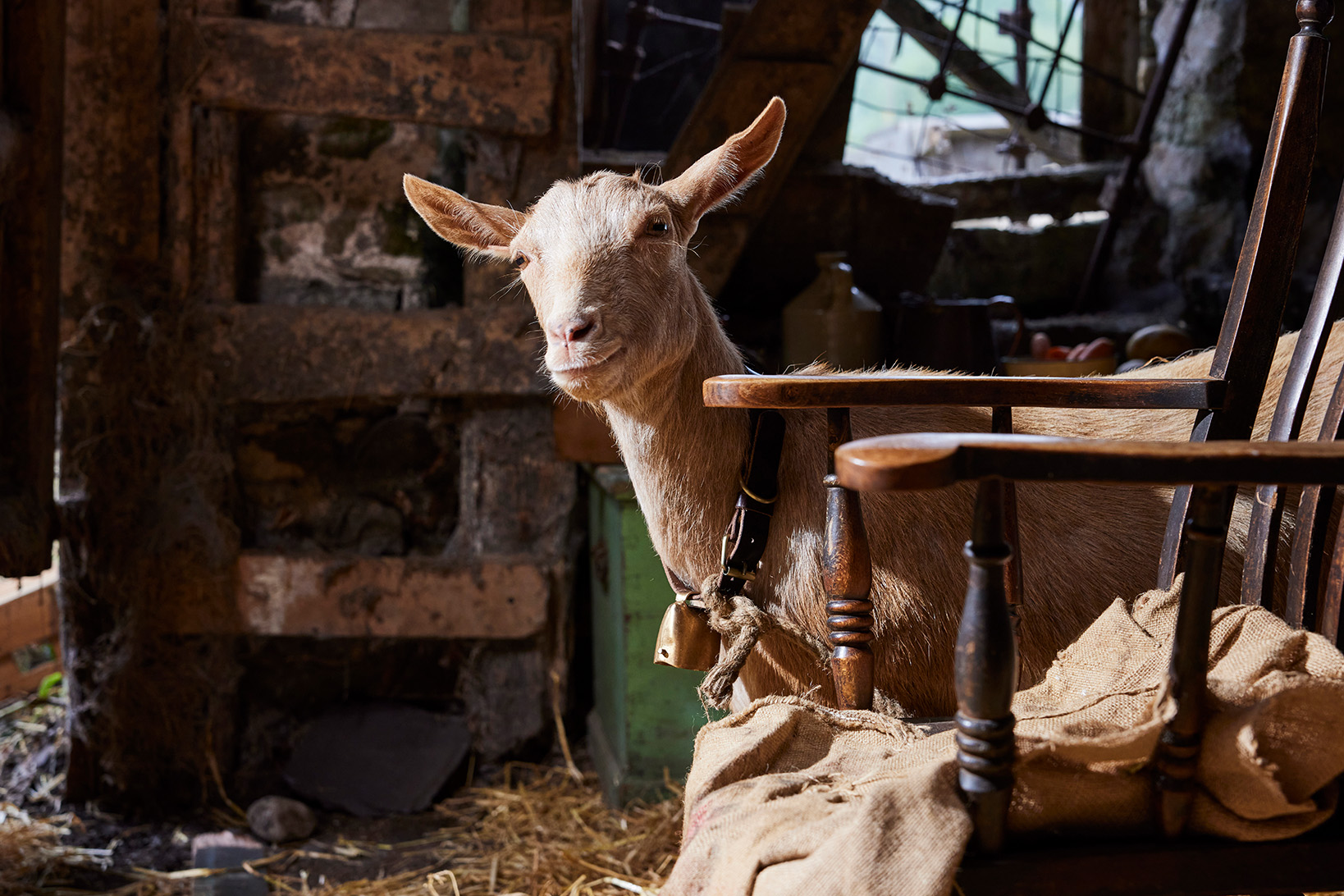 ee5b32eb-4c6a-4d82-8a5d-1e3ab8b58ccd