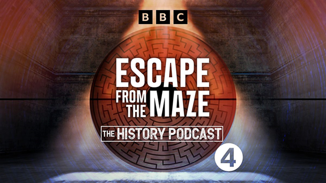 ESCAPE FROM THE MAZE