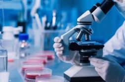 Test Audio Science Title 7