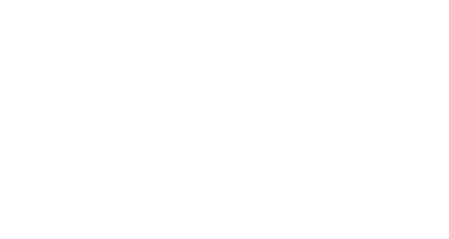 Rebel Rebel